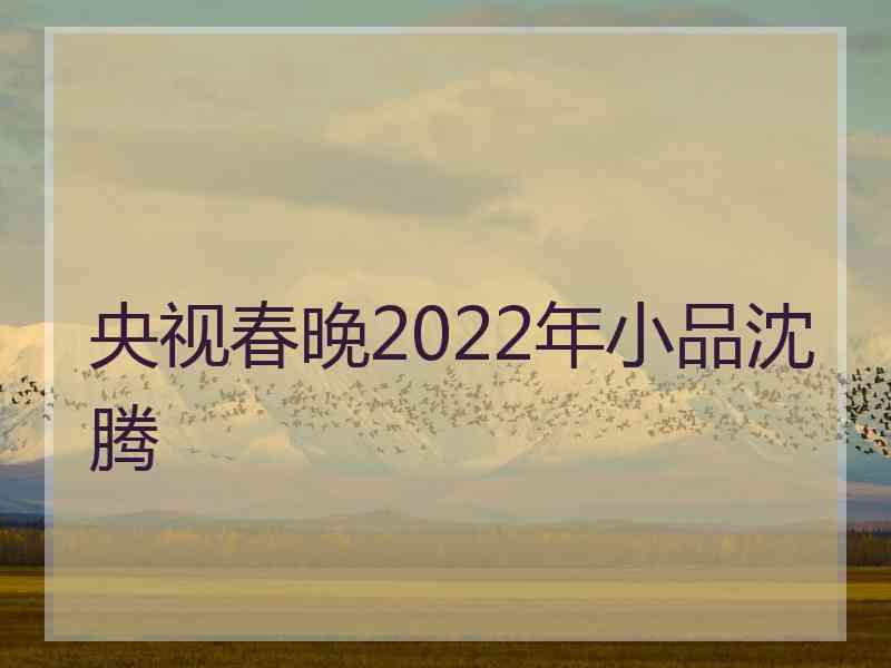 央视春晚2022年小品沈腾