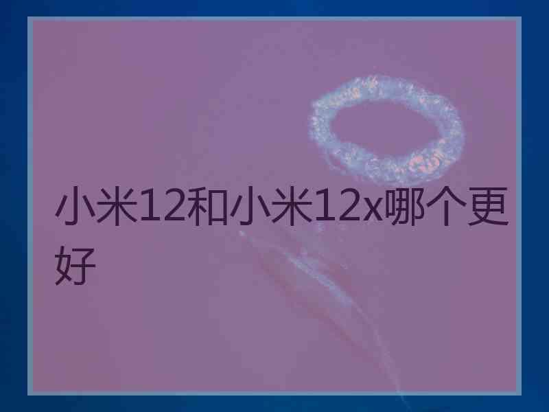 小米12和小米12x哪个更好