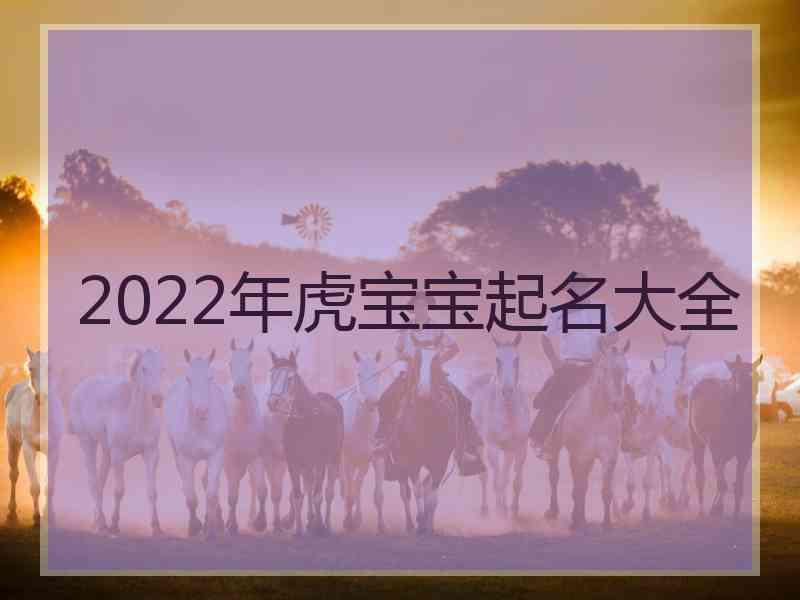 2022年虎宝宝起名大全