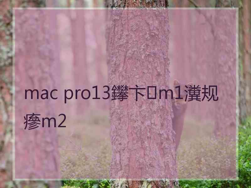 mac pro13鑻卞m1瀵规瘮m2