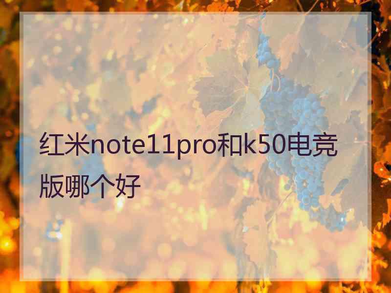 红米note11pro和k50电竞版哪个好