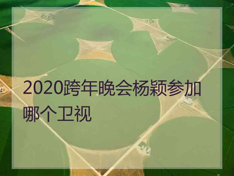 2020跨年晚会杨颖参加哪个卫视