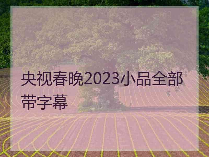 央视春晚2023小品全部带字幕