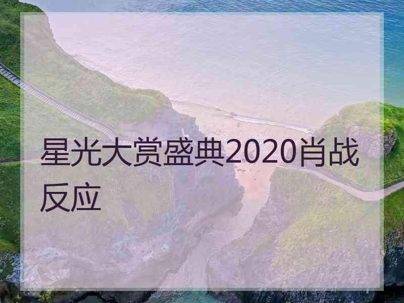 星光大赏盛典2020肖战反应