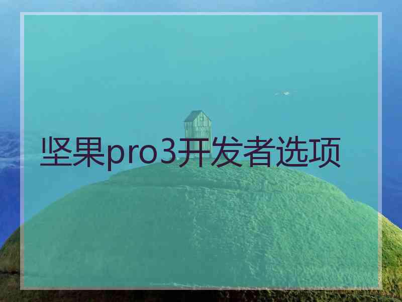 坚果pro3开发者选项