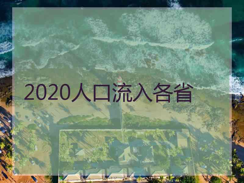 2020人口流入各省