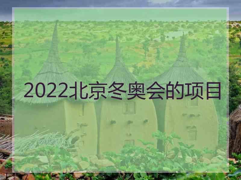 2022北京冬奥会的项目