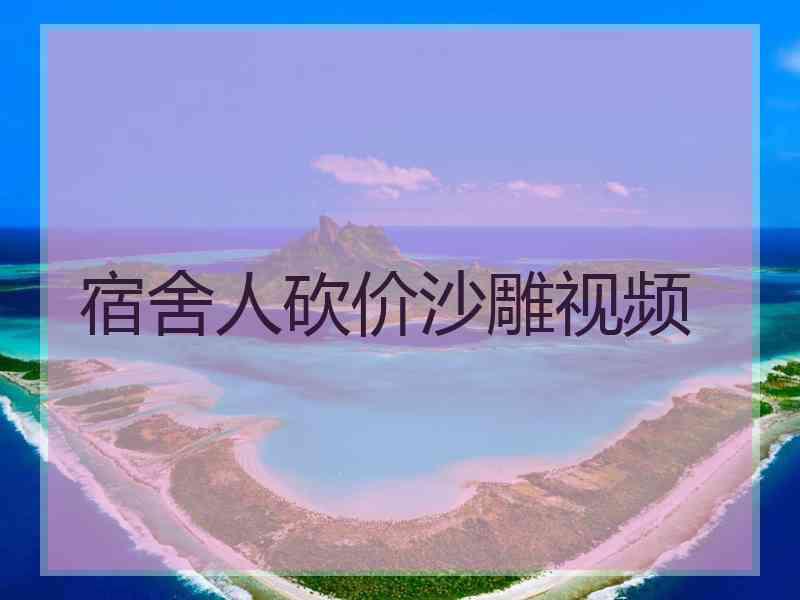 宿舍人砍价沙雕视频