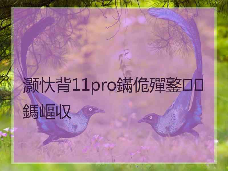 灏忕背11pro鏋佹殫鐜鎷嶇収