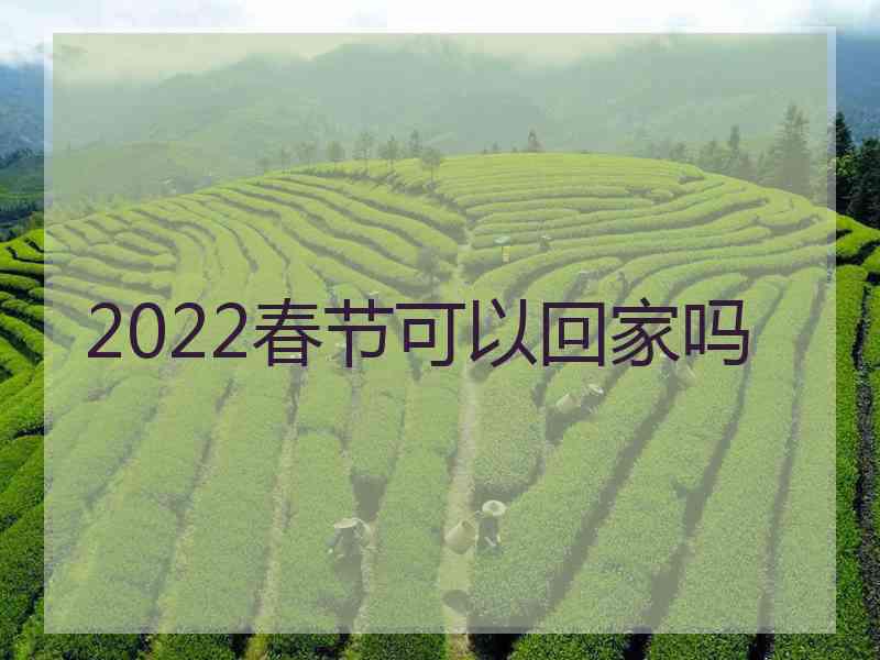 2022春节可以回家吗