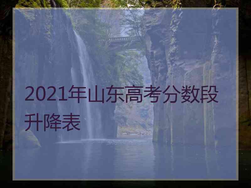 2021年山东高考分数段升降表