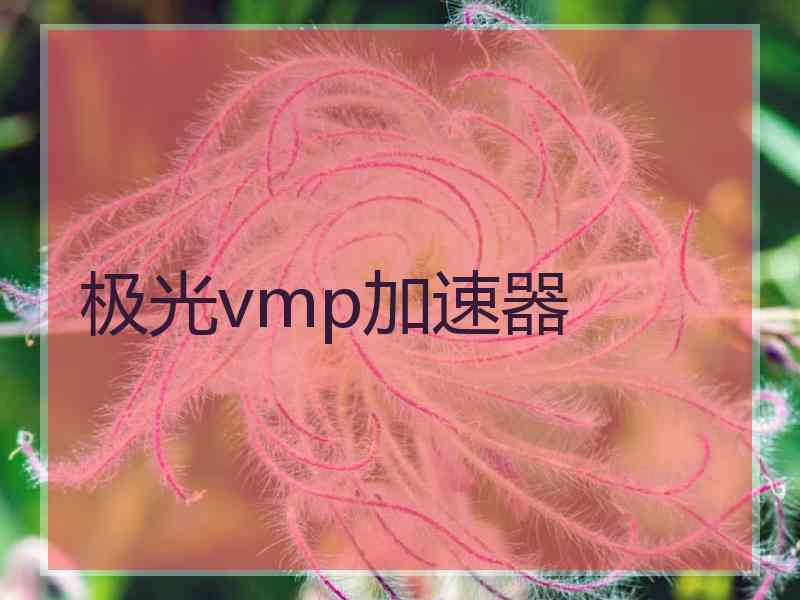 极光vmp加速器