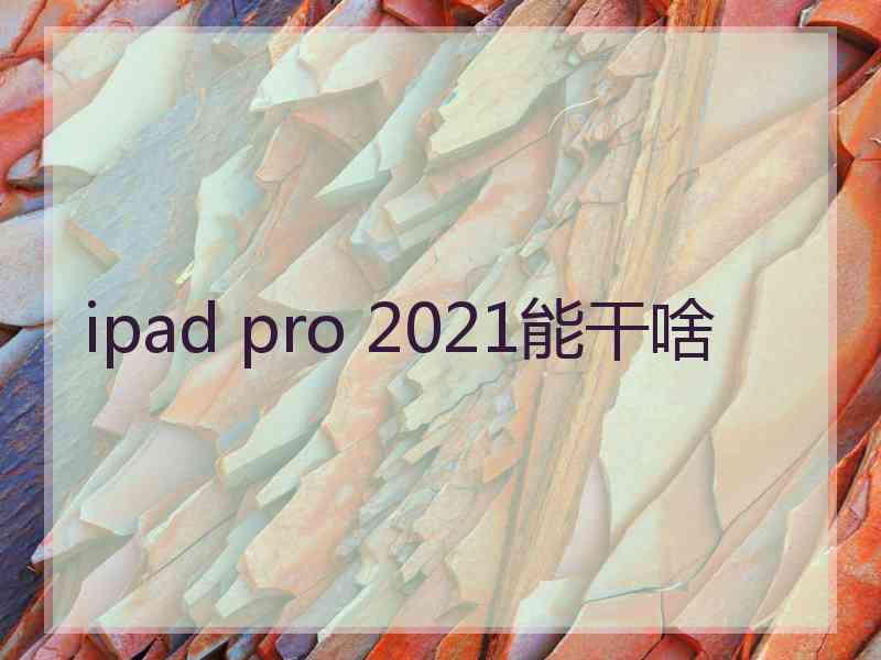 ipad pro 2021能干啥