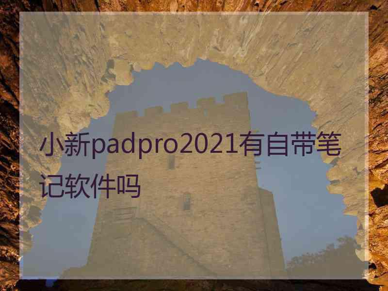 小新padpro2021有自带笔记软件吗