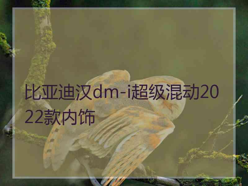 比亚迪汉dm-i超级混动2022款内饰