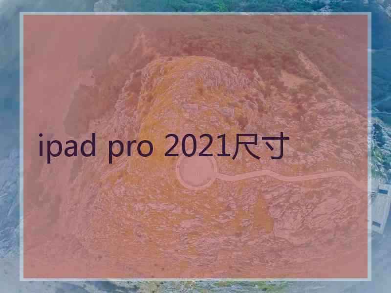 ipad pro 2021尺寸