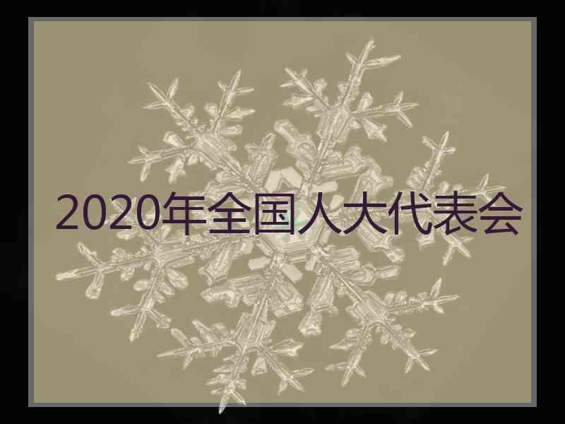 2020年全国人大代表会