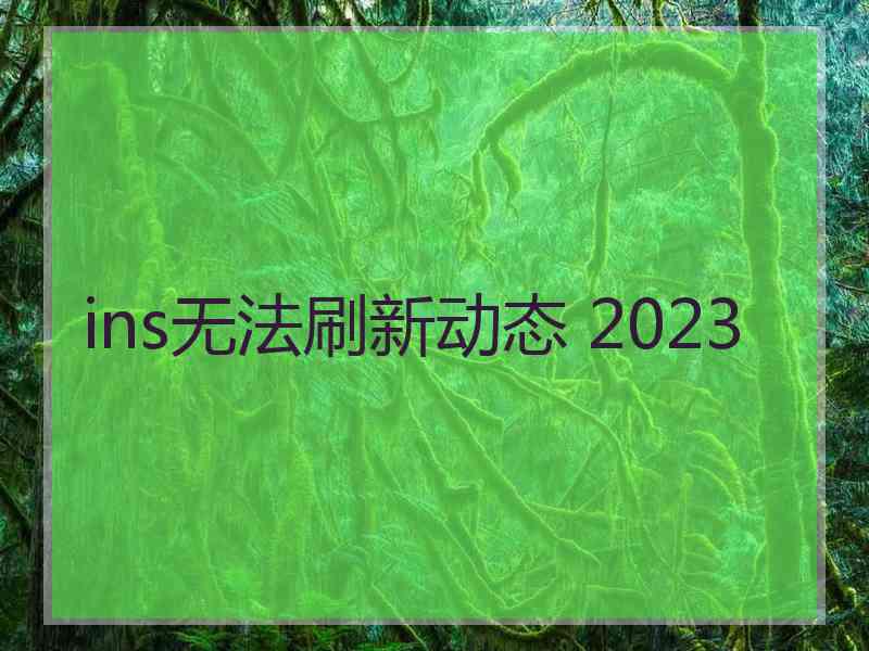 ins无法刷新动态 2023