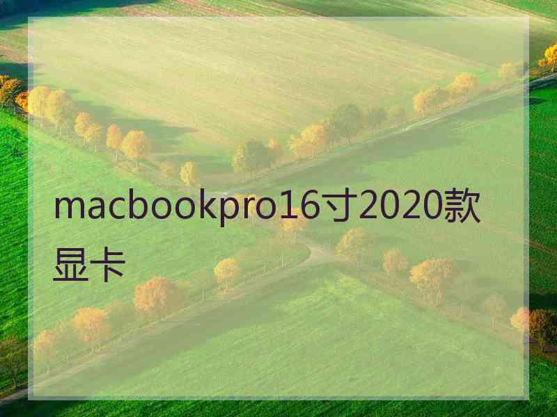 macbookpro16寸2020款显卡