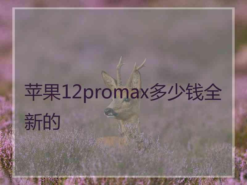 苹果12promax多少钱全新的