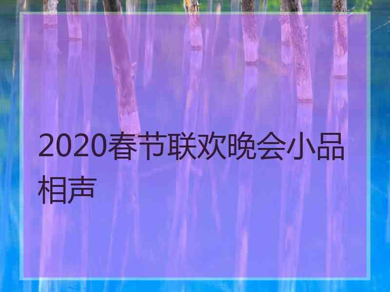 2020春节联欢晚会小品相声