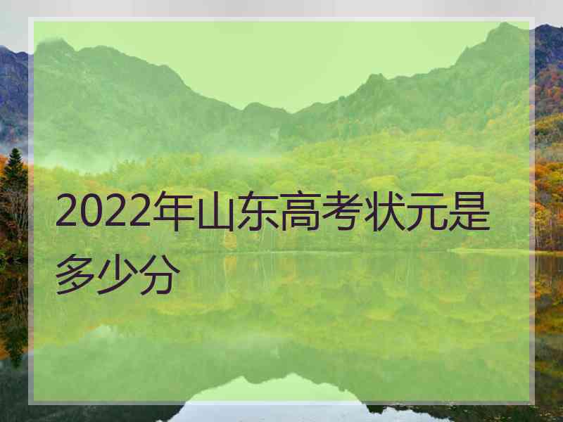 2022年山东高考状元是多少分