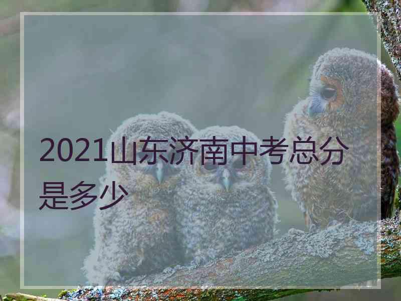 2021山东济南中考总分是多少