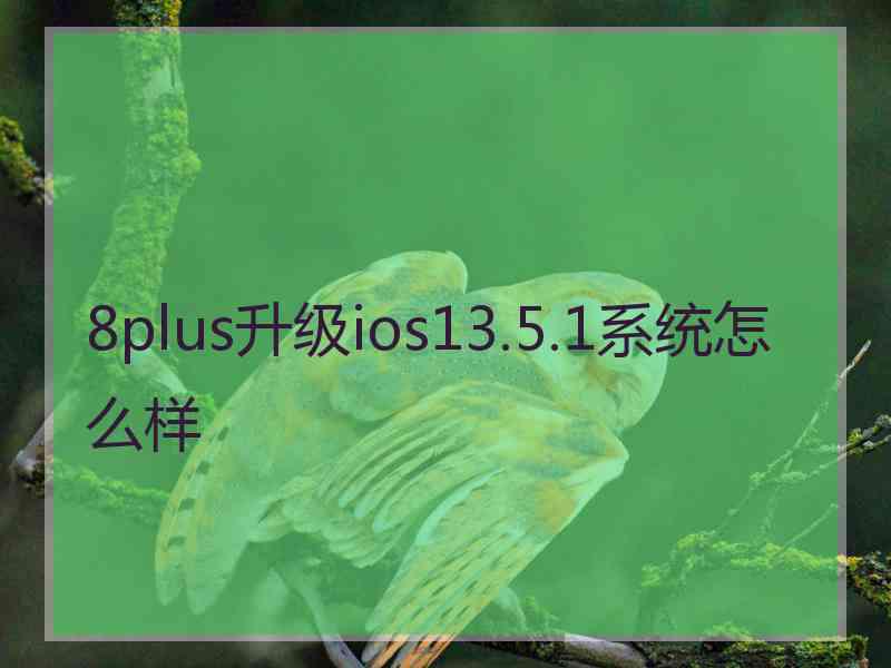 8plus升级ios13.5.1系统怎么样