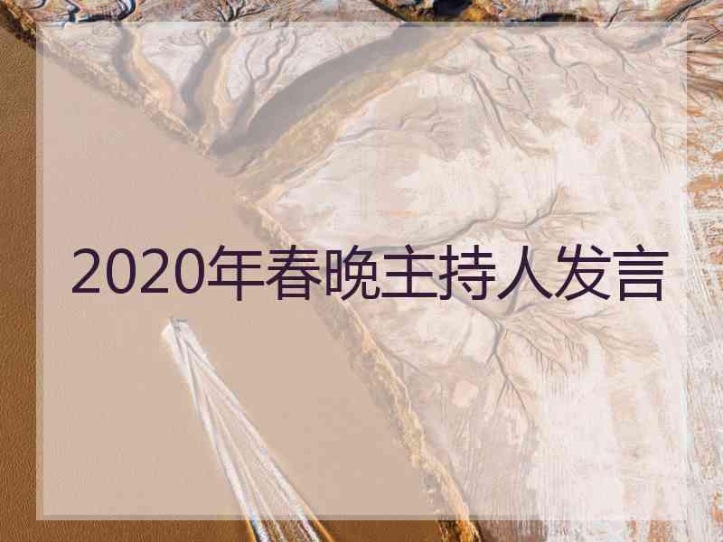 2020年春晚主持人发言