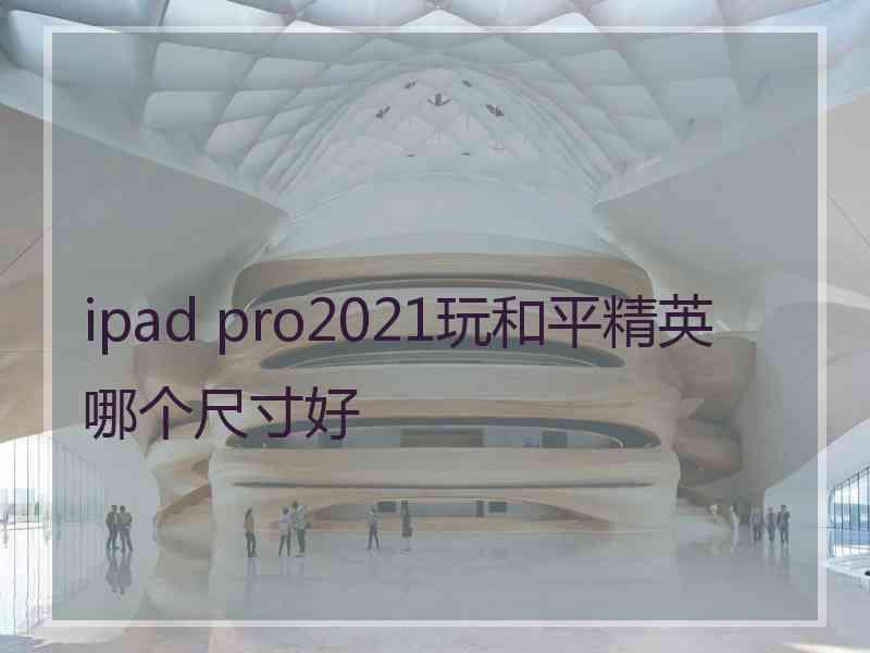 ipad pro2021玩和平精英哪个尺寸好