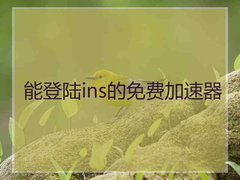 能登陆ins的免费加速器