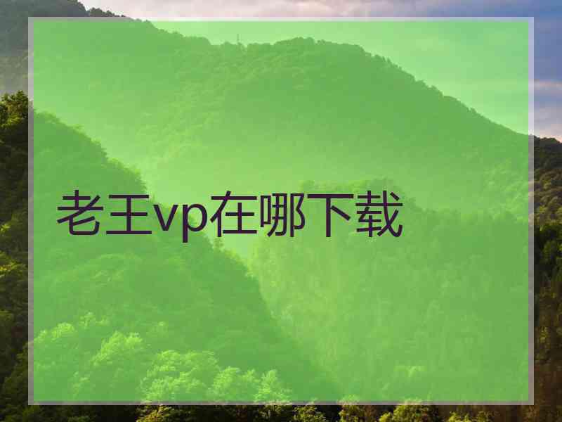 老王vp在哪下载