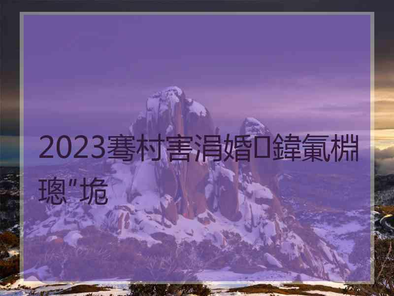 2023骞村害涓婚鍏氭棩璁″垝