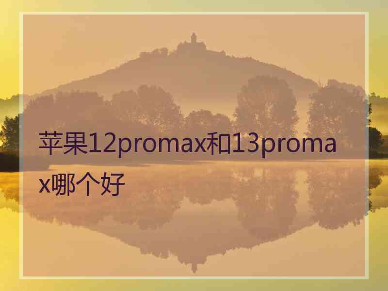 苹果12promax和13promax哪个好