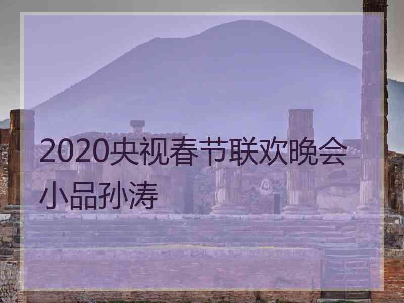 2020央视春节联欢晚会小品孙涛