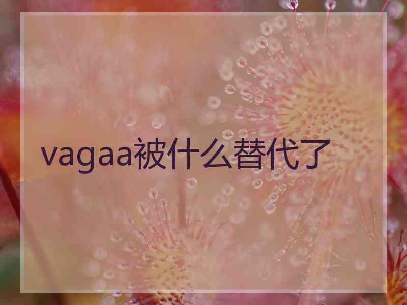 vagaa被什么替代了