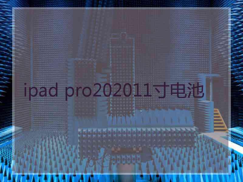 ipad pro202011寸电池