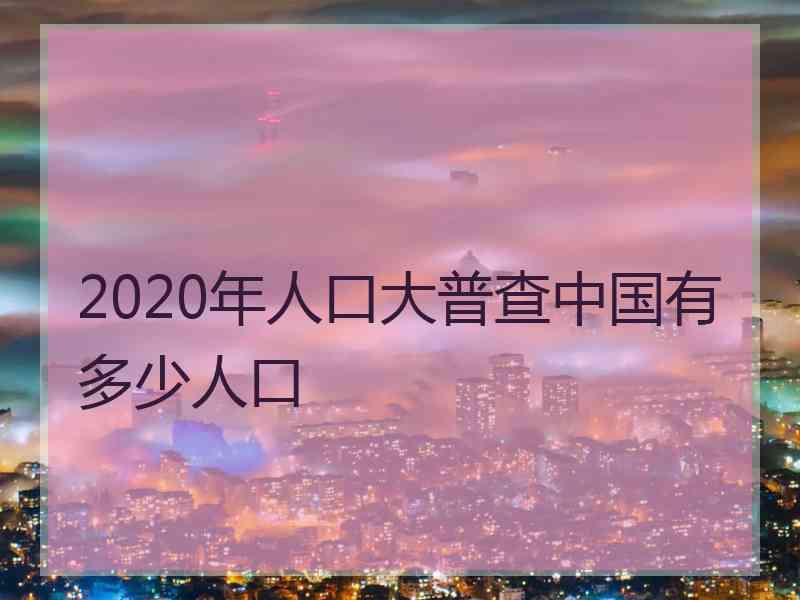 2020年人口大普查中国有多少人口