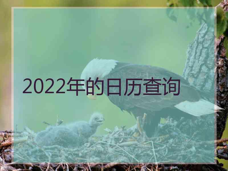 2022年的日历查询