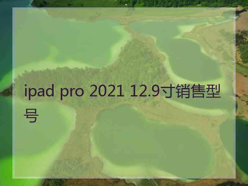 ipad pro 2021 12.9寸销售型号