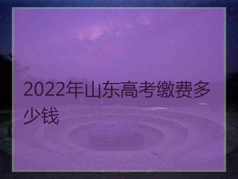 2022年山东高考缴费多少钱