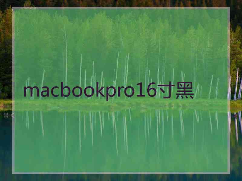 macbookpro16寸黑