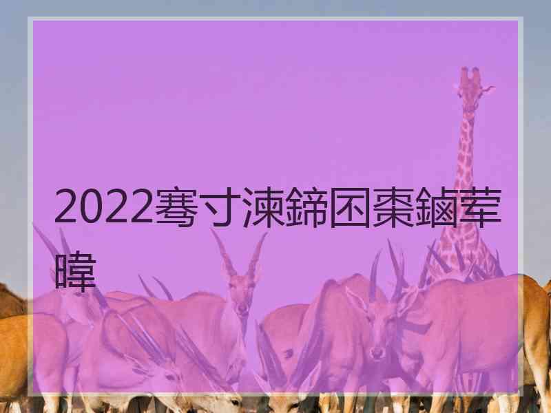 2022骞寸湅鍗囨棗鏀荤暐