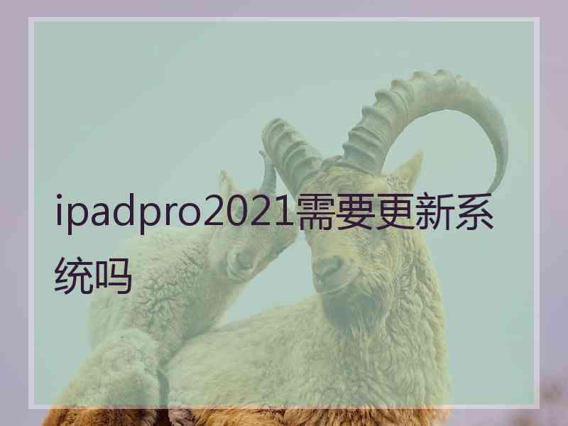 ipadpro2021需要更新系统吗