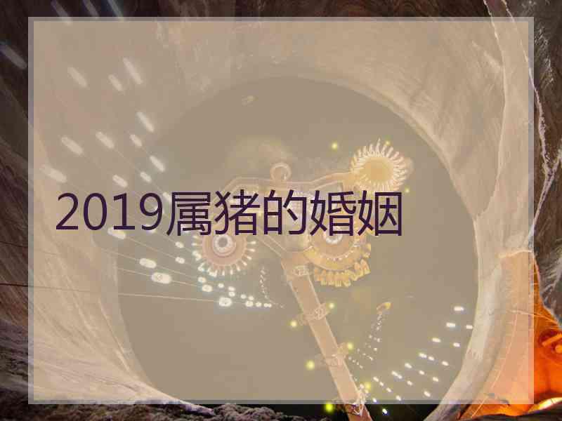 2019属猪的婚姻