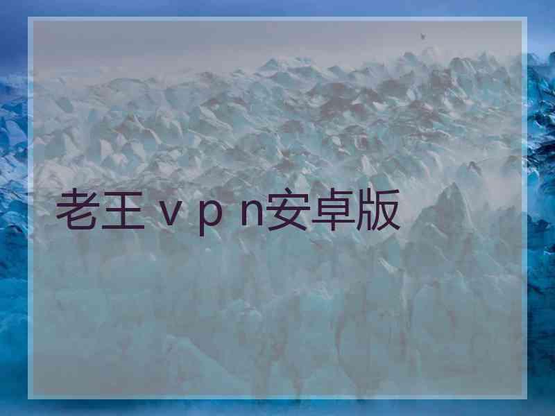 老王 v p n安卓版