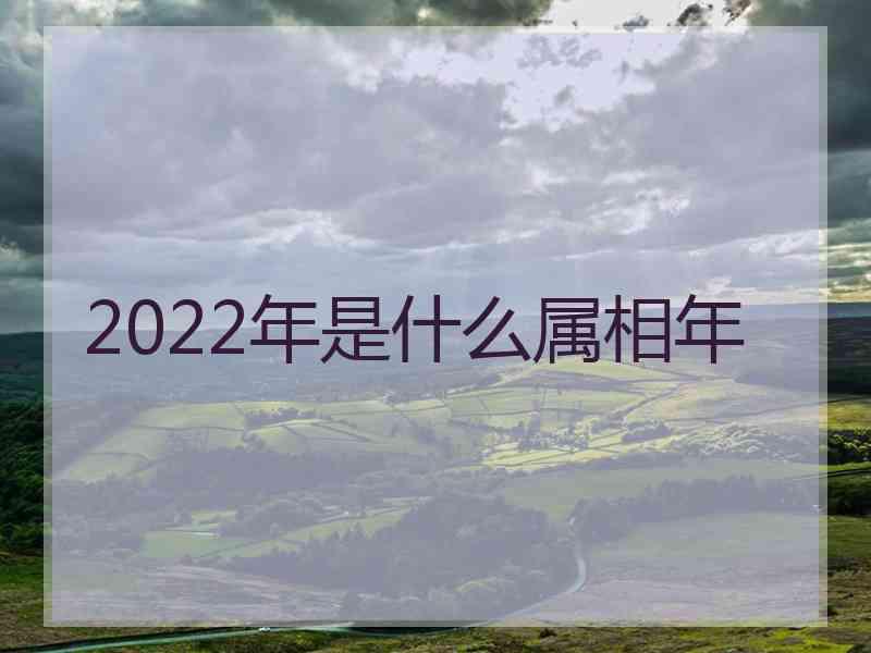 2022年是什么属相年