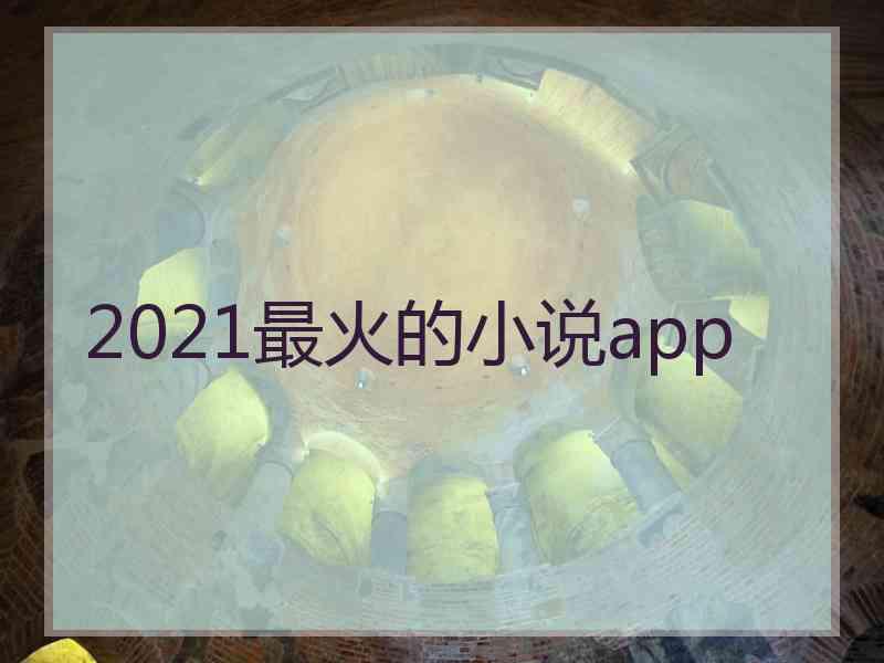 2021最火的小说app