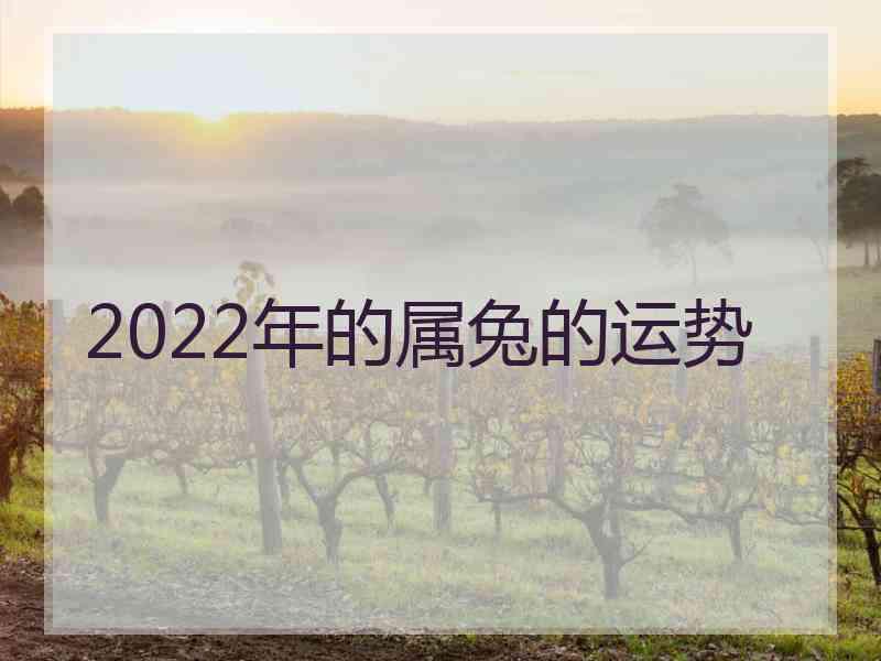 2022年的属兔的运势