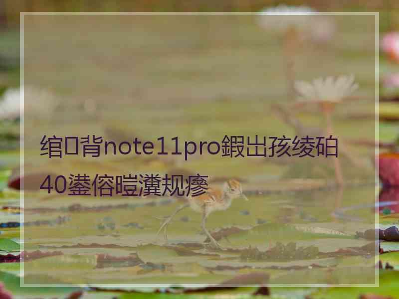 绾㈢背note11pro鍜岀孩绫砶40鍙傛暟瀵规瘮